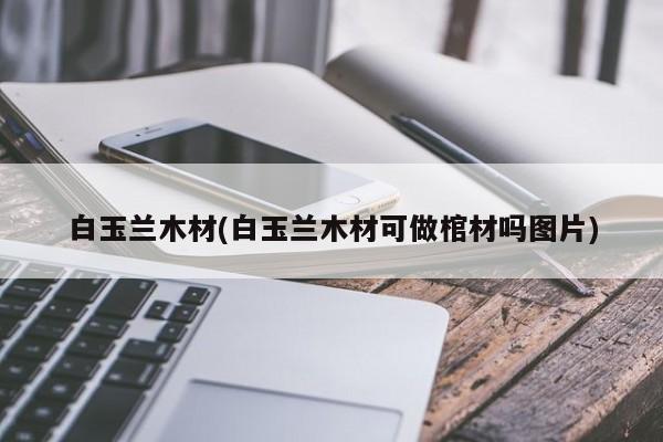 白玉兰木材(白玉兰木材可做棺材吗图片)